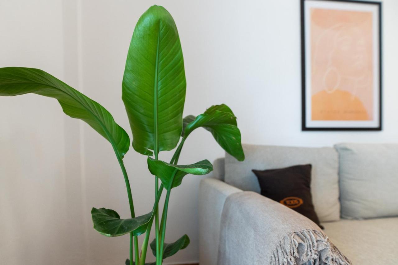 Flat 126 Apartment Alexandroupoli Bagian luar foto